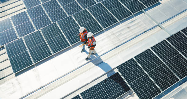 Best Roof Moss and Algae Removal  in Show Low, AZ