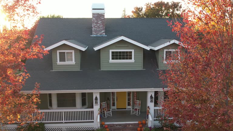 Best Roof Insulation Installation  in Show Low, AZ